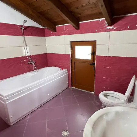 Idili Historik I Kodres Apartment Berat